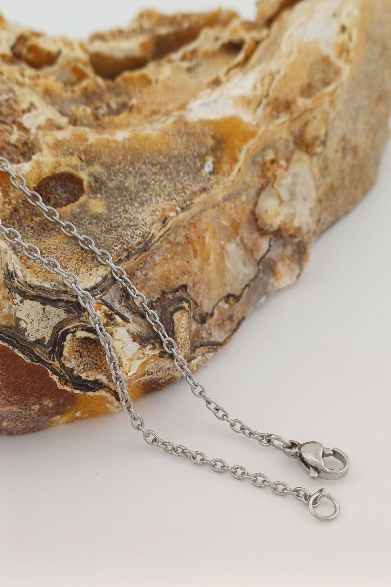 anker ketting rvs