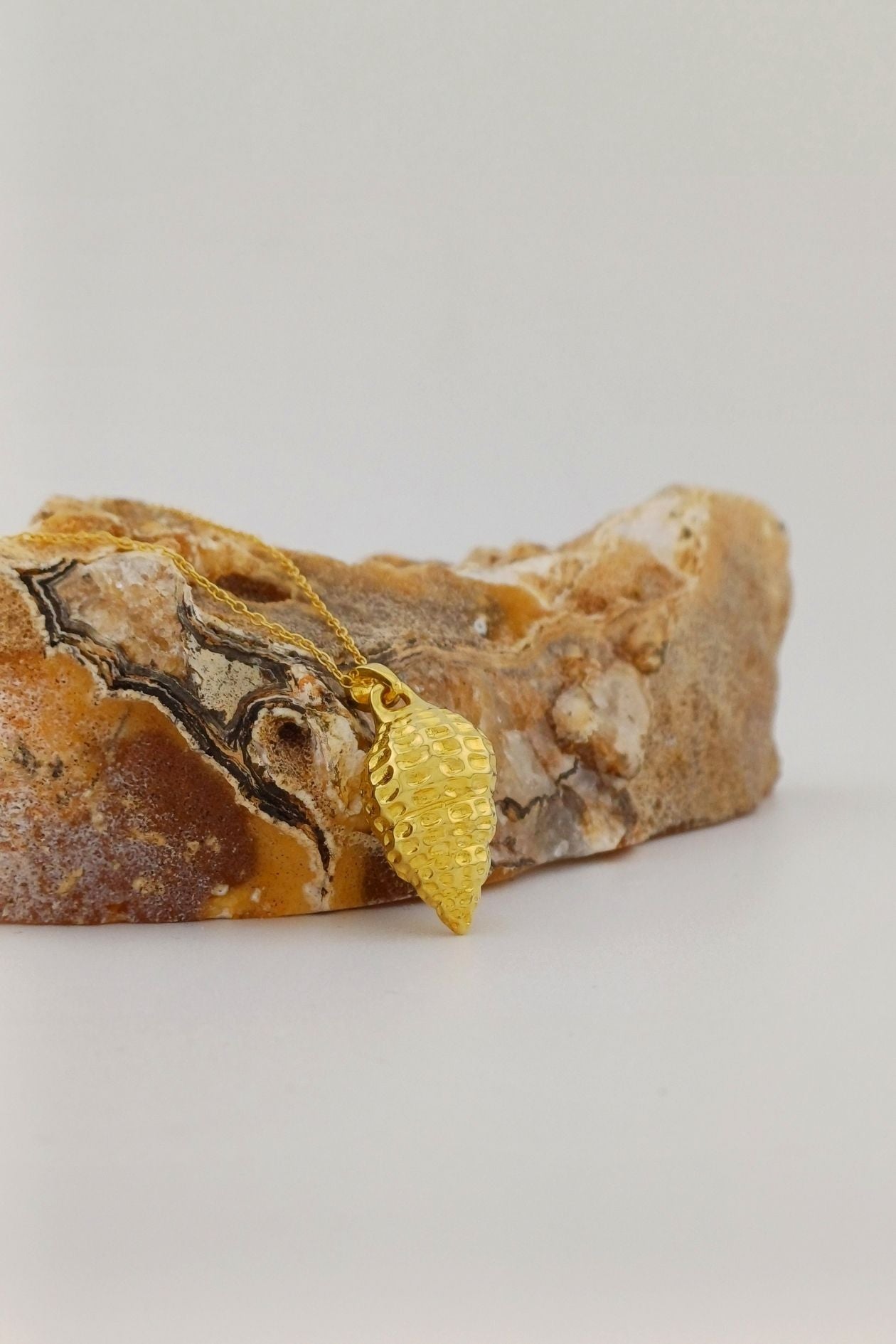 ashanger gold plated schelp