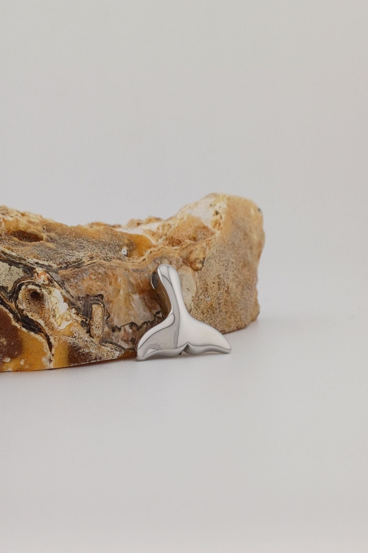 ashanger walvisstaart rvs