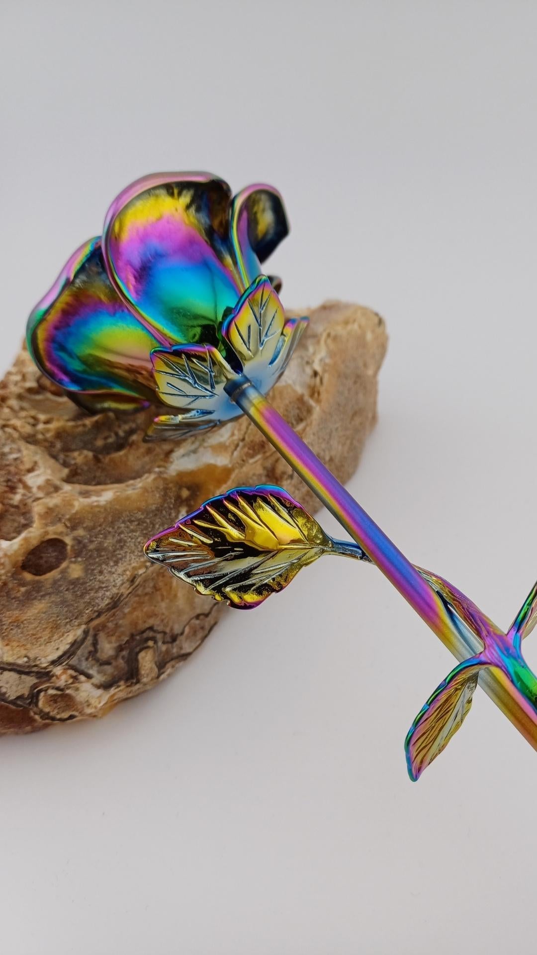 Asroos Multicolor