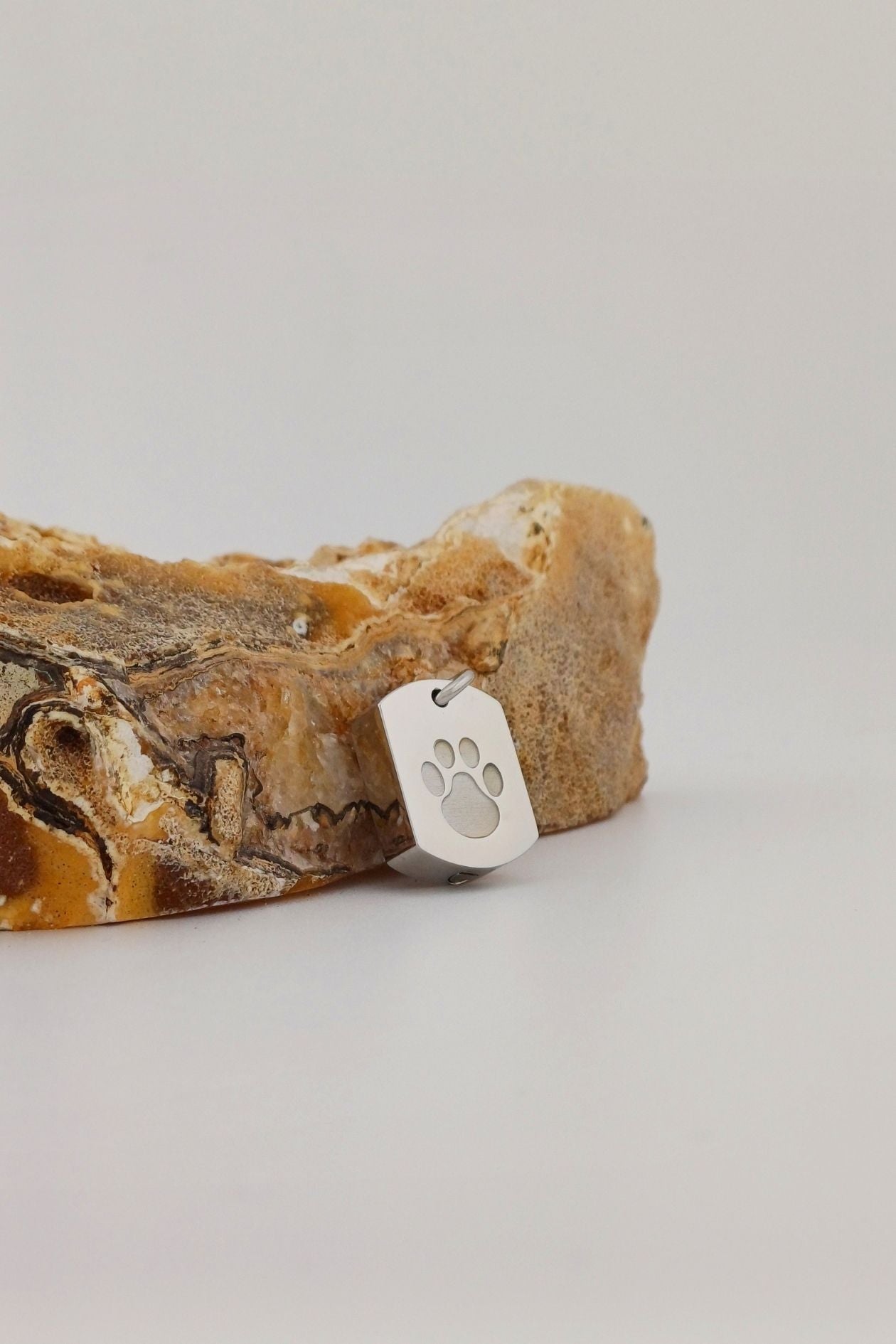 dog tag ashanger pootje rvs