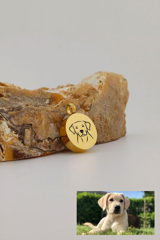 eigen hondenras ashanger rond goudkleurig