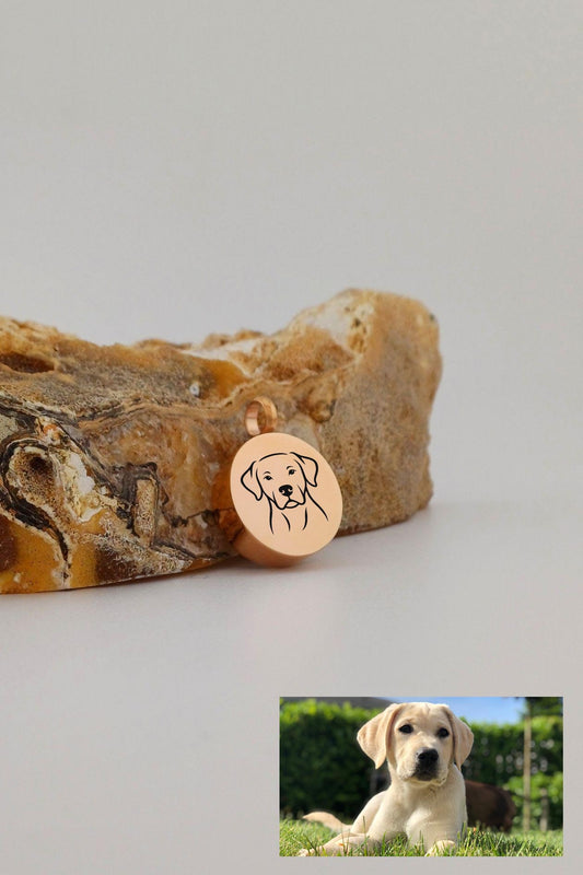 hondenras ashanger rond rosegoudkleurig