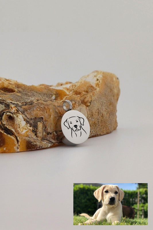 hond ashanger rond rvs