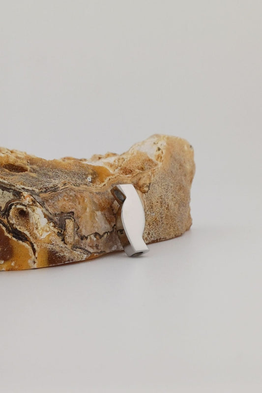 levensweg ashanger rvs