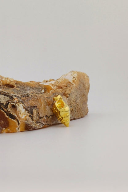 ashanger gold plated schelp