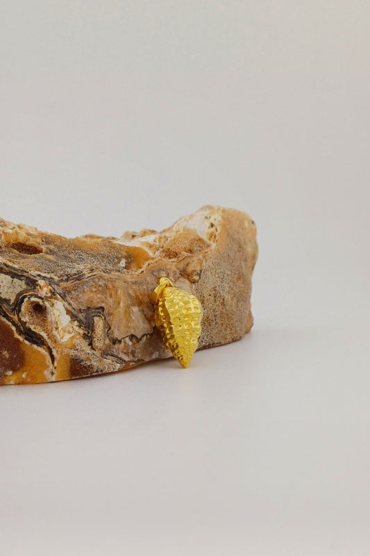 ashanger gold plated schelp