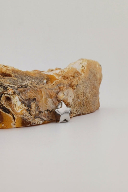 ashanger sterretje rvs