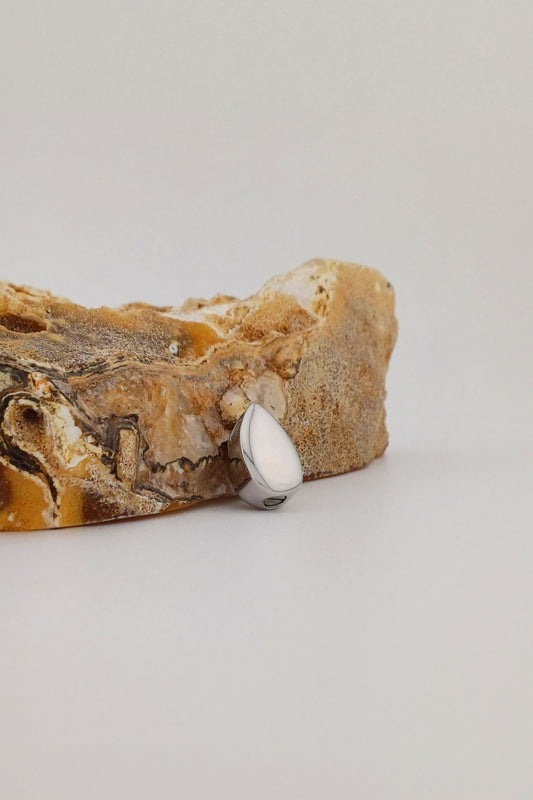 ashanger traantje rvs