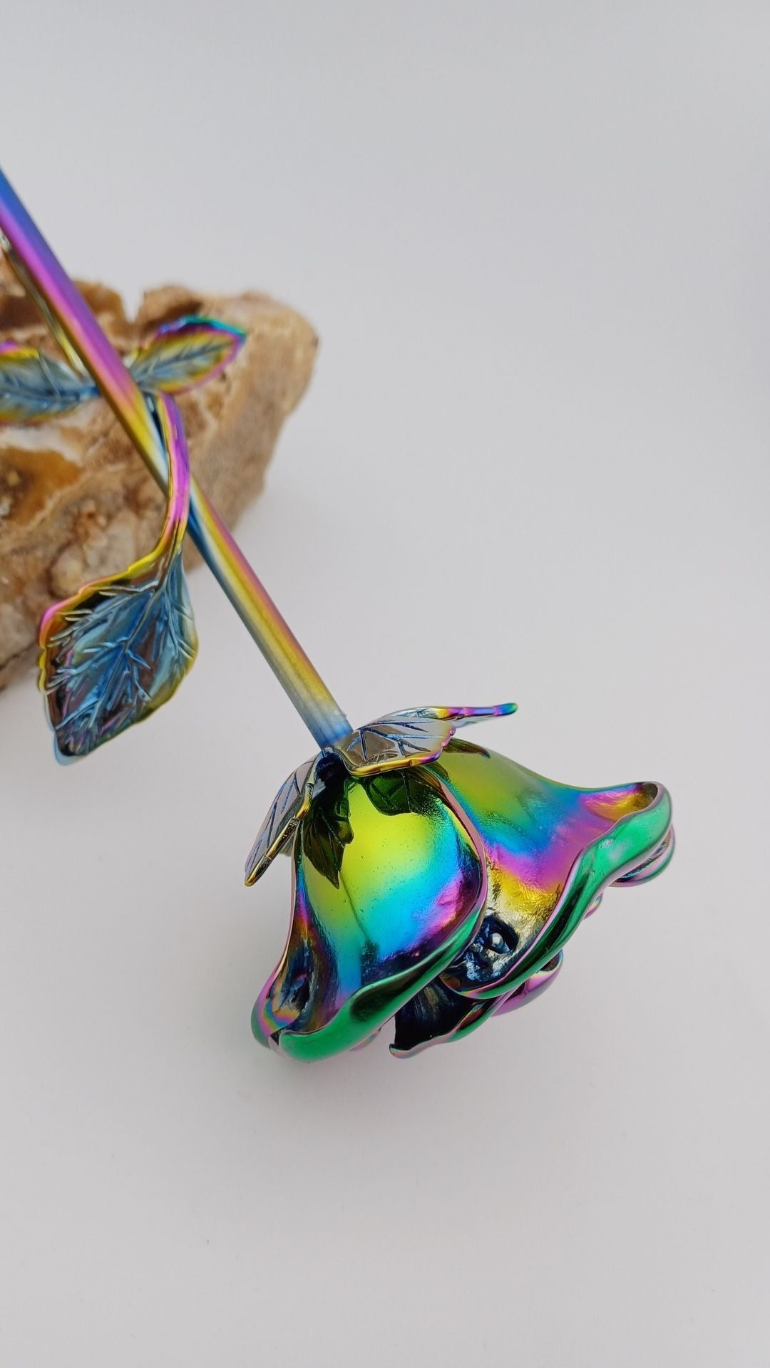 Asroos Multicolor van roestvrij staal