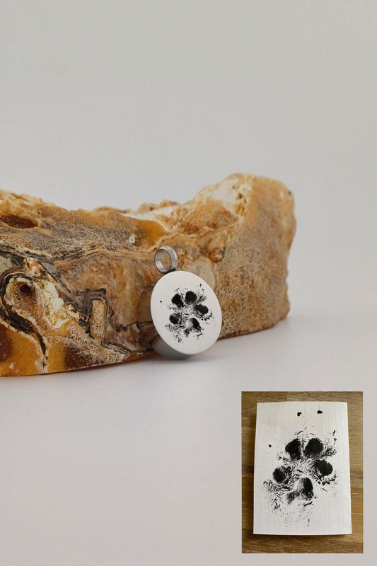 pootafdruk ashanger rond rvs