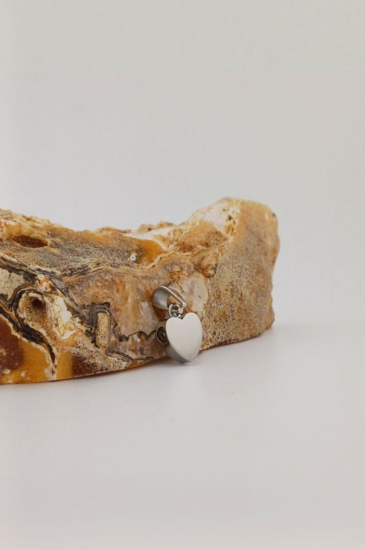 hart ashangertje rvs