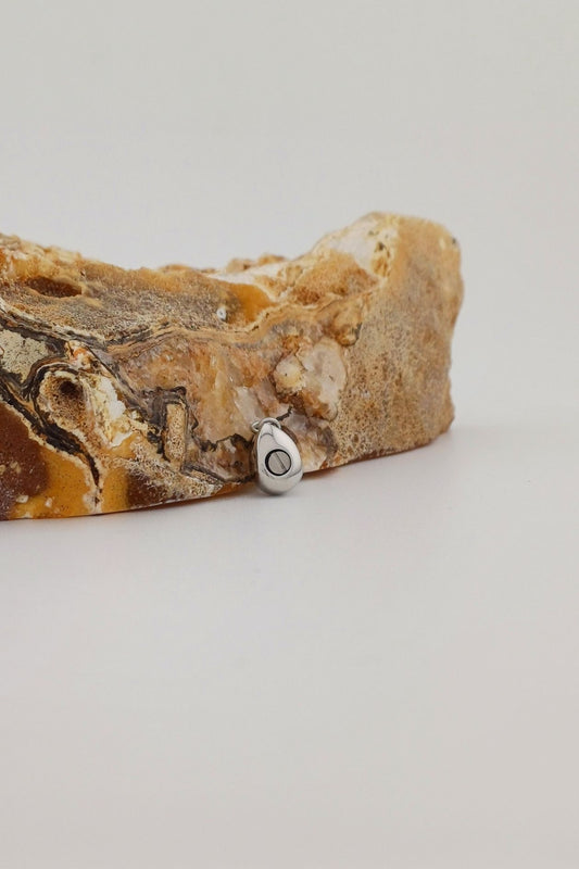 traan ashangertje rvs